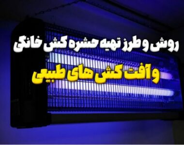 10 روش و طرز تهیه حشره کش خانگی و آفت کش های طبیعی