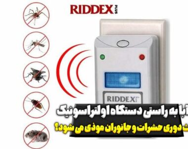 Picsart_23-09-04_10-56-20-648