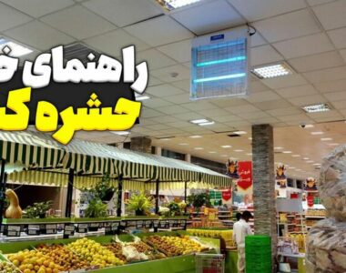 راهنمای خرید حشره کش