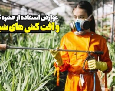 عوارض استفاده از حشره کش ها و آفت کش های شیمیایی