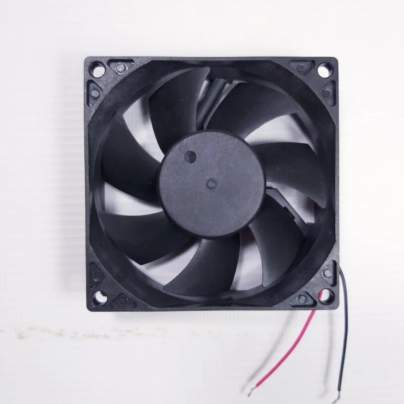 fan (3) fan (3)