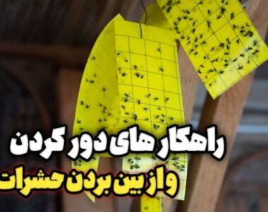 10447377-0603-47f6-a23f-f32d7bc700c2