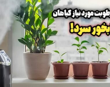 a7312d79-9539-487a-a082-733cfc467d0e