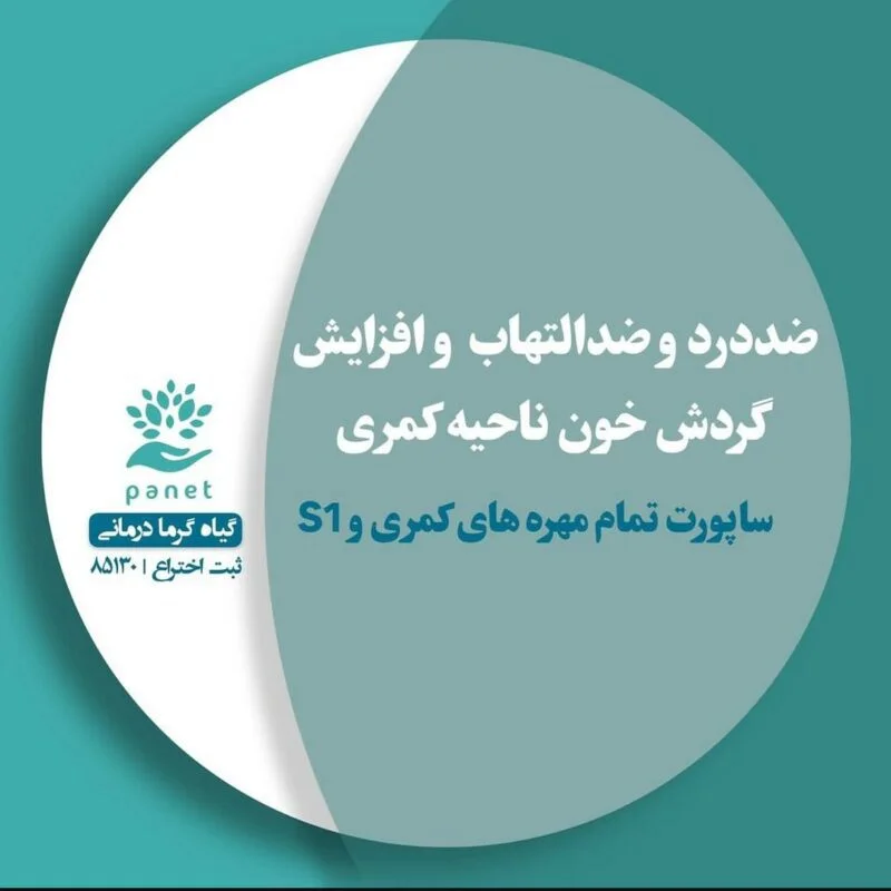 WhatsApp Image 2025-06-10 at 09.36.29_72ff61de