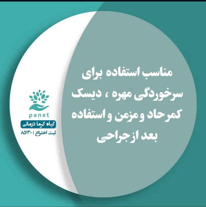 WhatsApp Image 2025-06-10 at 09.36.29_c2135366